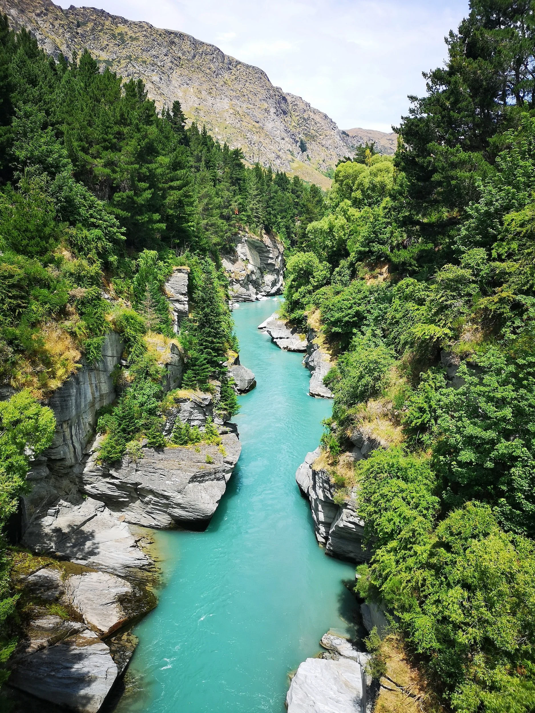 A turquoise river flowing through a narrow canyon with rocky walls, surrounded by lush green trees and forested mountains in the background.